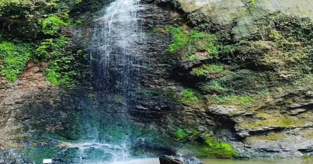 Chadwick Falls, Shimla