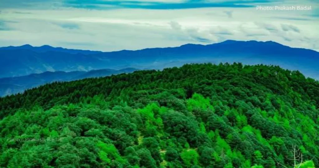 Chail – Royalty, Forests, and Fresh Air