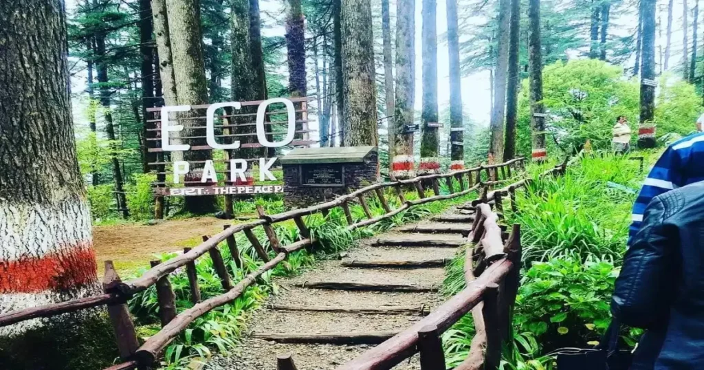 Dhanaulti – Where the Forests Take Over