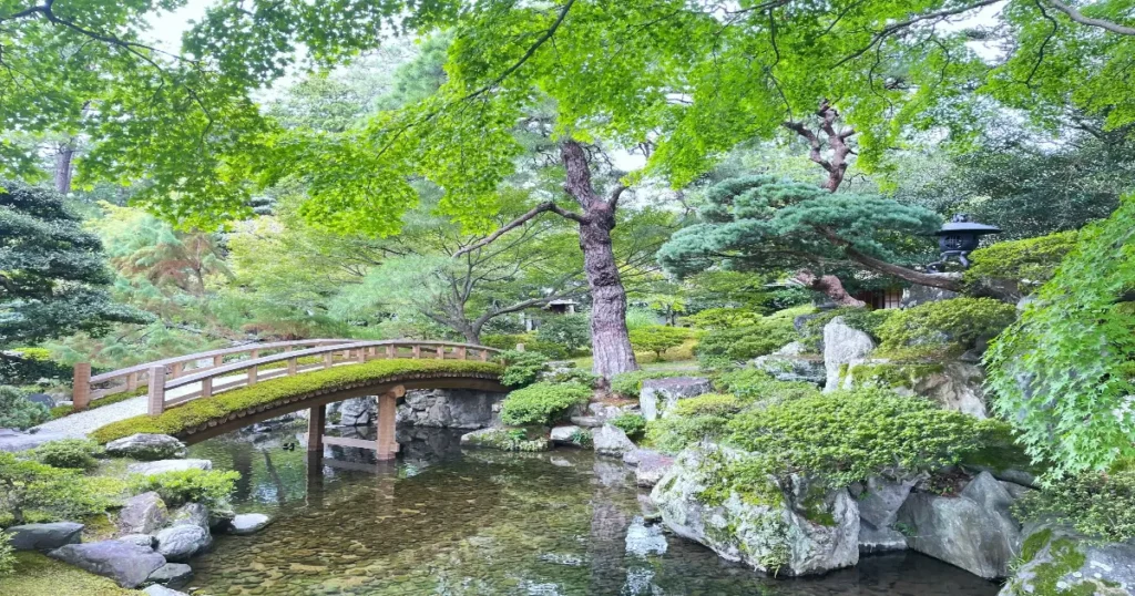 Japanese Park, Rohini - A Calm Corner in North Delhi