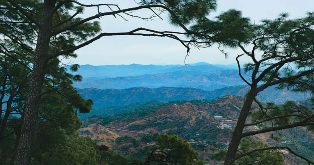 Kasauli – Quiet Lanes and Old Trees