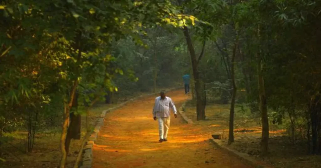 Sanjay Van — The Forest That Changes at Night