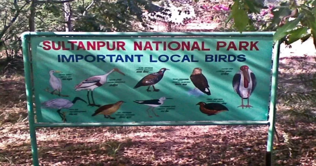 Sultanpur Bird Sanctuary, Gurugram